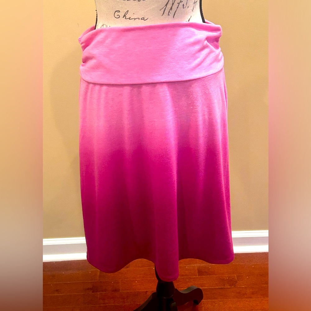Ombré Skirt